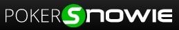 PokerSnowie can seriously accelerate your learning curve